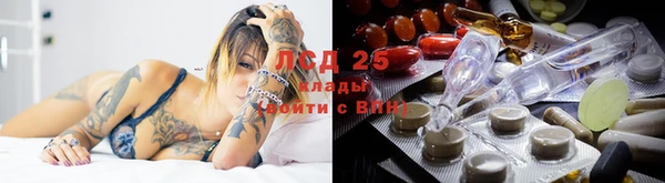 spice Богданович