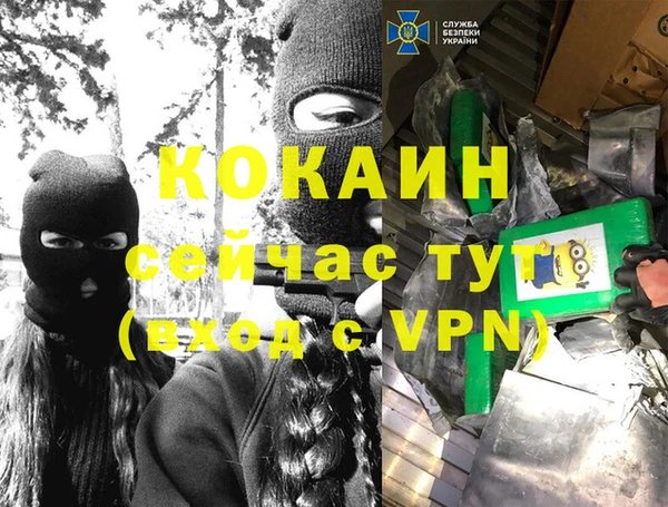 spice Богданович