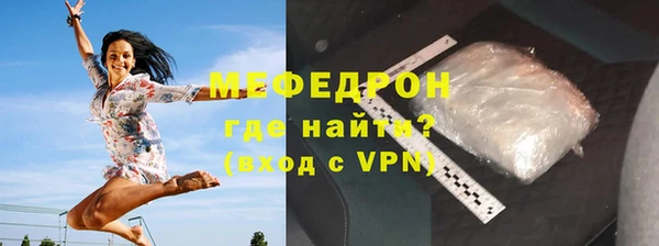 индика Бородино