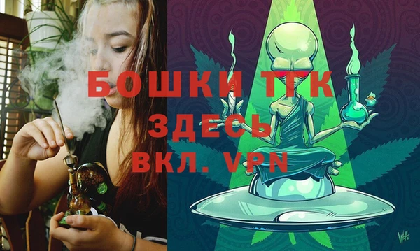 МДПВ Богородицк