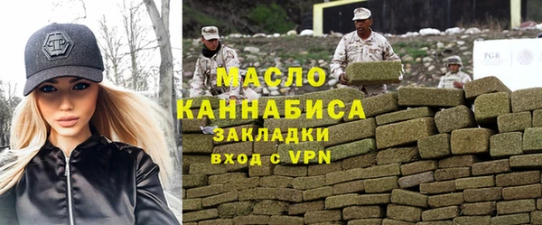 индика Бородино