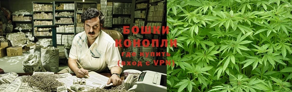 индика Бородино