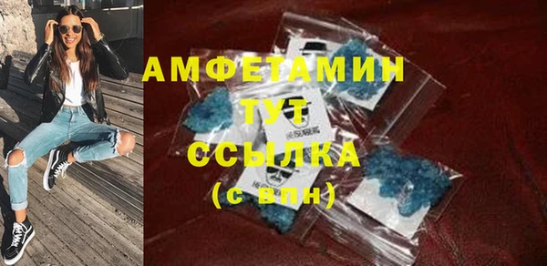 индика Бородино