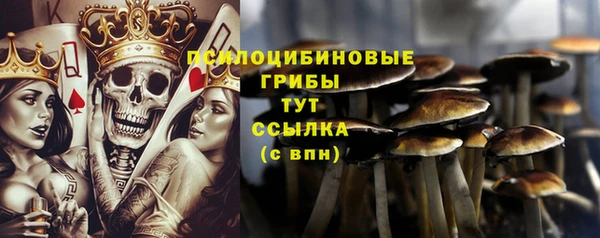МДПВ Богородицк