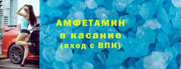 индика Бородино