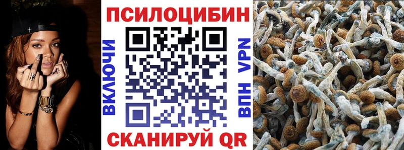 Псилоцибиновые грибы Psilocybe цена Вельск
