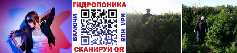 купить наркотики сайты Вельск Марихуана тримм